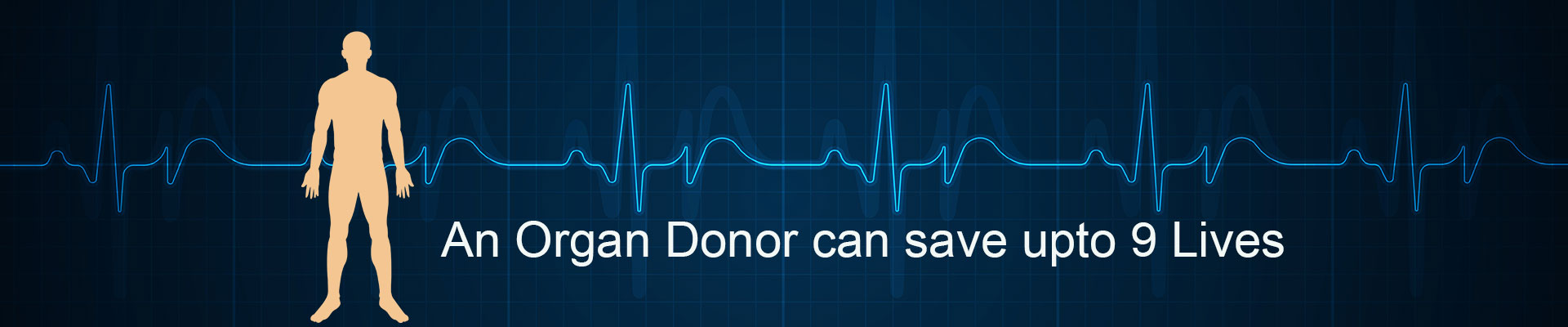 Organ Donation