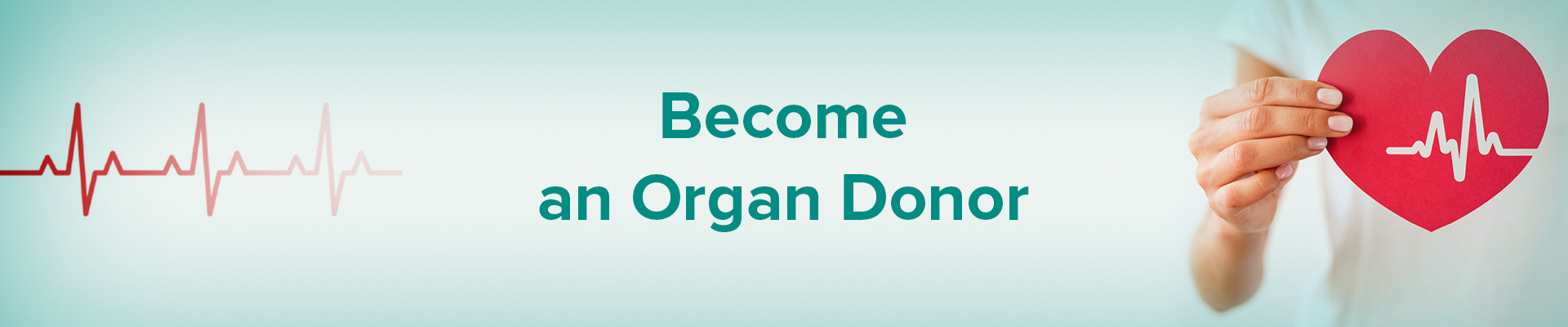 Organ Donor