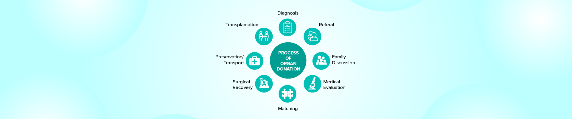 Process of Transplant